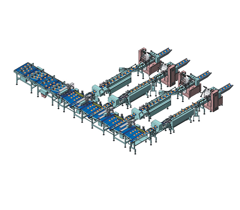 福建分道加上擺混合理料線(xiàn)NH-FS4